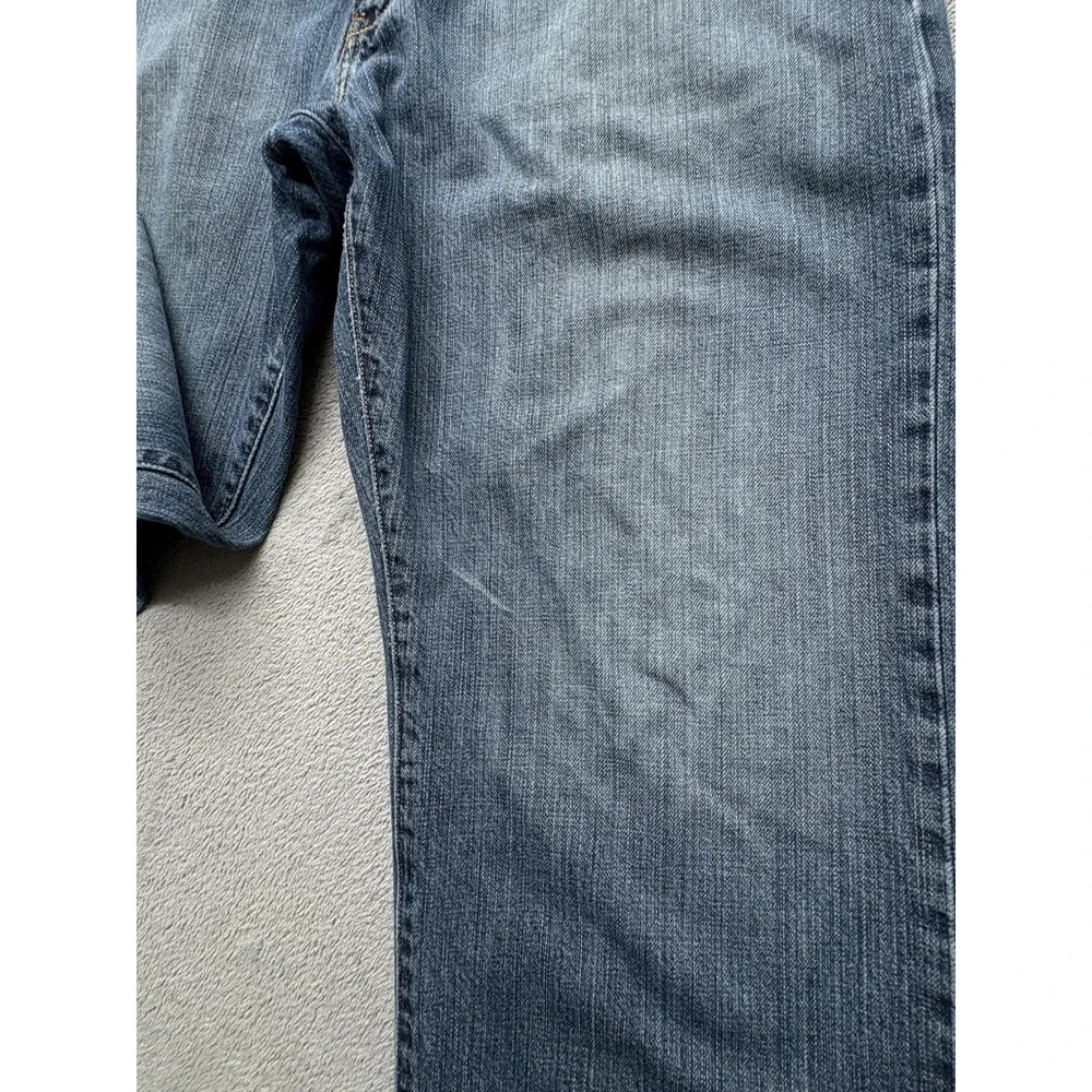 Levis levis 569